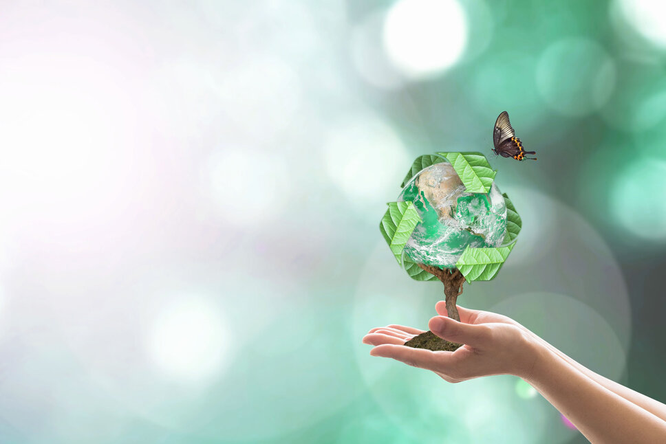 Hände halten einen Baum, dessen Äste den Erdglobus darstellen, vor einem leuchtenden Hintergrund. Über dem Baum ist ein Recycling-Symbol zu sehen, und ein Schmetterling fliegt auf ihn zu, was eine harmonische Verbindung von Natur und Nachhaltigkeit symbolisiert. In der Geschäftsethik von weba Werkzeugbau symbolisiert dieses Bild die Nachhaltigkeits- und Umweltschutzinitiative des Unternehmens.