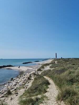 Ein sandiger Küstenpfad schlängelt sich durch grasbewachsene Dünen in Richtung eines Leuchtturms an der dänischen Nordspitze. Das ruhige Meer und der blaue Himmel unterstreichen die friedliche Atmosphäre.