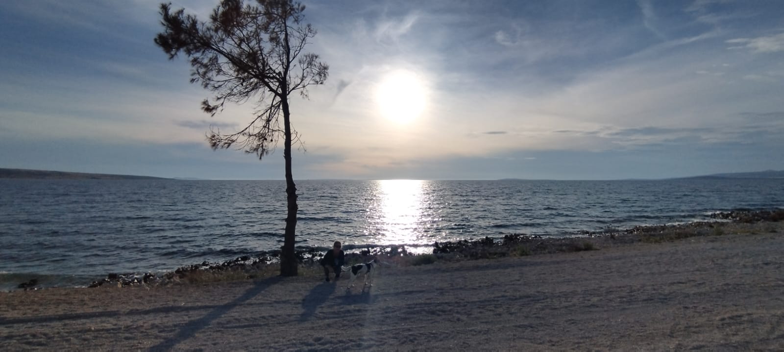 Sunset by the sea with a single tree on the shore and a person with a dog in the foreground.
